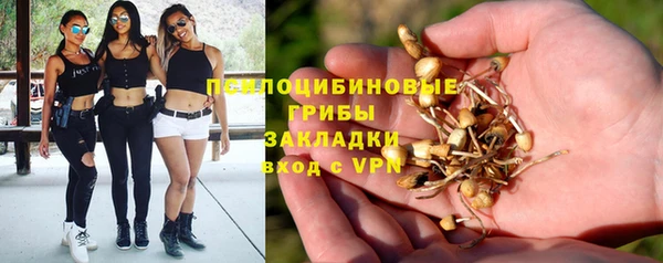 PSILOCYBIN Кулебаки
