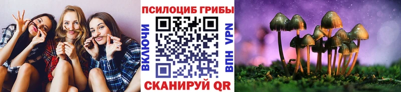 Псилоцибиновые грибы прущие грибы  mega зеркало  Зарайск 